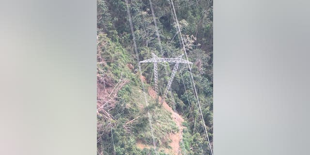 A downed tree caused the widespread power outage in Puerto Rico on Thursday, officials said.