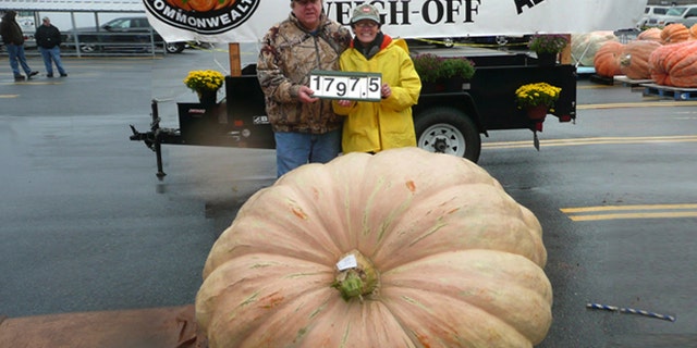 No fear: Larry and Gerry Checkon, shown here with their 1,797-pound pumpkin at the Great Pumpkin Commonwealth Weigh-off in Altoona, Pa., don't believe their squash is a threat to the planet. (Courtesy: Pennsylvania Giant Pumpkin Growers Association)