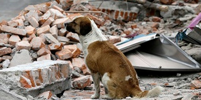 Mexico City escaped major damage, but the quake terrified sleeping residents.