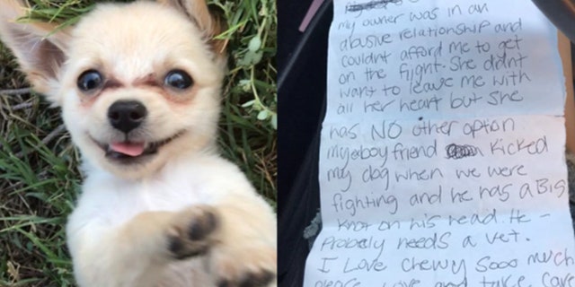 Three-month-old Chewy was abandoned in a Las Vegas Airport bathroom with a handwritten note.