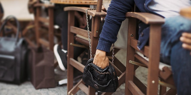 Keep your purse close, lest this happen on your next vacation.