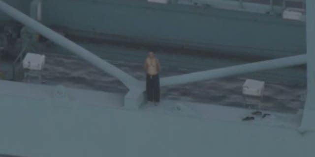 A car theft suspect climbed a gantry crane at the Port of Los Angeles, but later fell to his death.