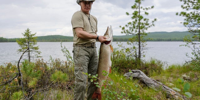 FILE 2013: President Vladimir Putin poses for a picture as he fishes in the Krasnoyarsk territory in the Siberian Federal District.
