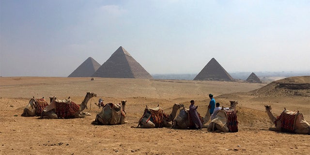 Camels rest between rides with their owners against the backdrop of the pyramids in Giza, Egypt, in 2015.