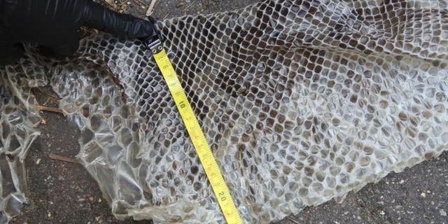 Measuring the skin