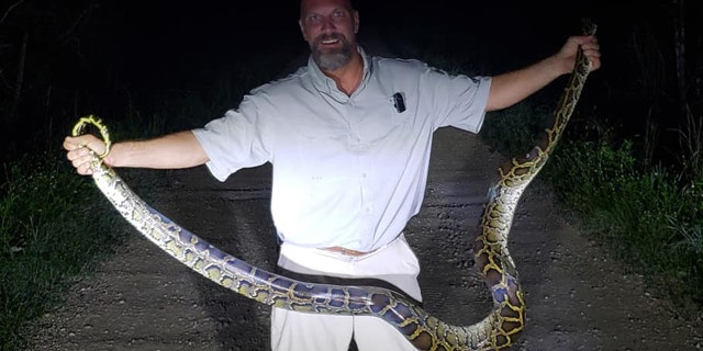 Jack Hubbard holds up a 10-foot python caught in the Florida Everglades.