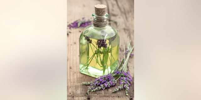 bottle of lavender oil with fresh flowers on wooden background. apothecary herbs. selective focus