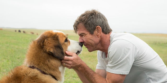 'A Dog's Purpose' is cleared of any mistreatment by American Humane.