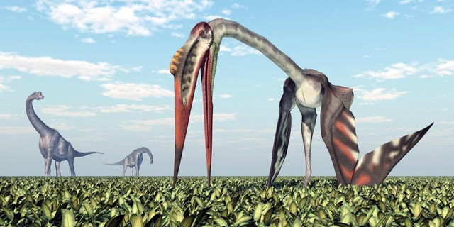 Artist's impression of Quetzalcoatlus (iStock)