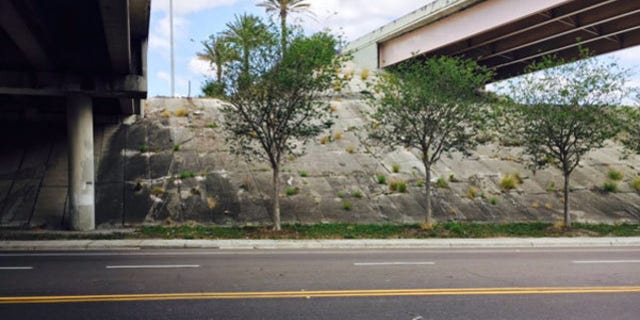Scrapes in the embankment show the path of the car as it plunged from the highway above.