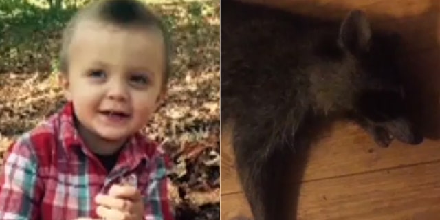 Chandler Mahaffey's mom said she heard her son screaming on the porch and found him being held by the rabid animal.