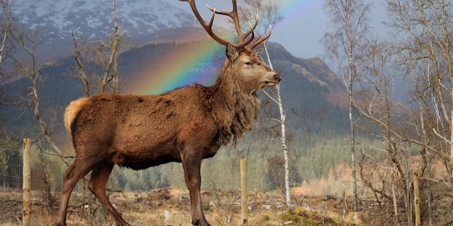 "When you see something like that you know you have an opportunity to capture something special," said the photographer.