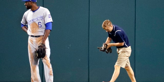 Groundskeeper Lucas Hackmann was hit on the head by a pitch Sunday. Last year, the same groundskeeper was tasked with removing a cat who wandered onto the field.