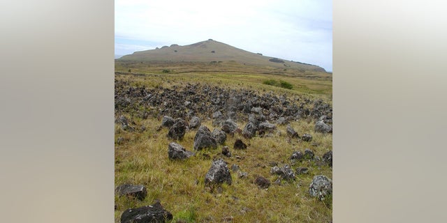 A Rapa Nui Rock Garden, or agricultural field, with Poike volcano in the background.