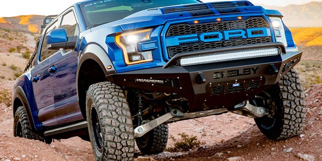 e9357ba9-raptor