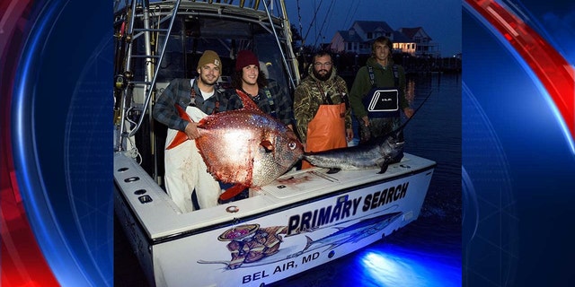 Extremely rare fish caught by sport fishermen in Ocean City | Fox News
