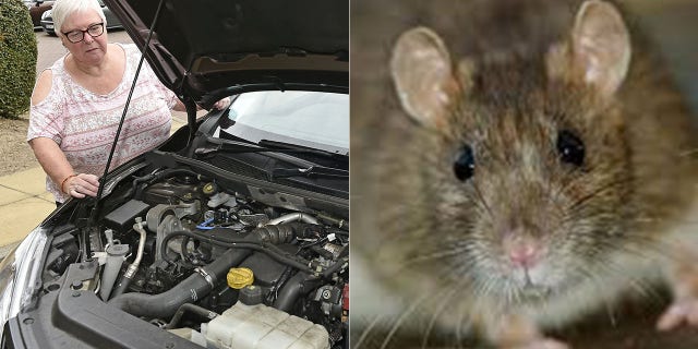 Janet Reid had a close call when her brakes failed, and the reason for it shocked her.