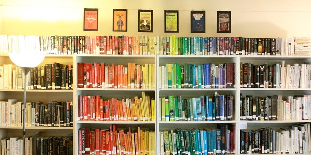 A girl reads in front of shelves of books sorted by color.