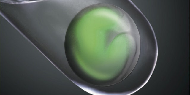An ES cell-derived optic cup was virtually inserted into a test tube by CG as a conceptual image