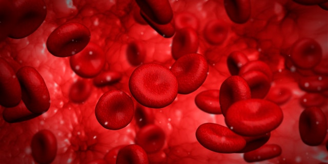 Computer generated graphic design of red blood cells flowing inside vessel