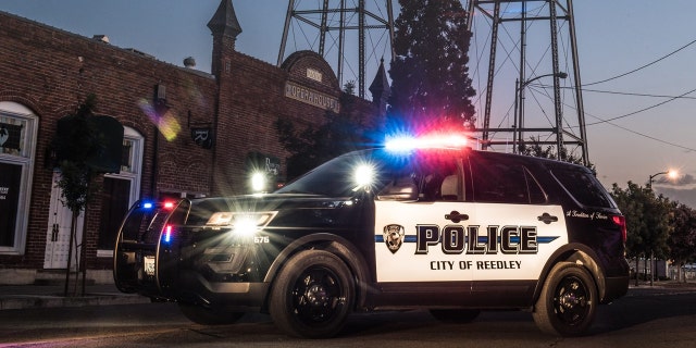 Officers responded to a call Monday and found that a mother drowned her two children and killed herself, Reedley Police said.