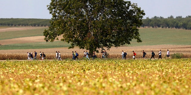 People make their way through fields at the border between Serbia and Croatia near Tovarnik, Croatia, Wednesday, Sept. 16, 2015. The first groups of migrants have started arriving in Croatia - a new entry point into the European Union after Hungary sealed off its border with Serbia with massive coils of barbed wire. (AP Photo/Matthias Schrader)