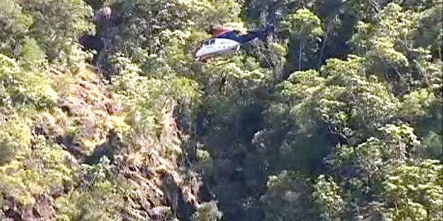 In this image taken from the Australian Broadcasting Corporation video, South Korean backpacker Joohee Han, 25, is seen being rescued by helicopter, Thursday, June 7, 2018, in Tully, Queensland, Australia.