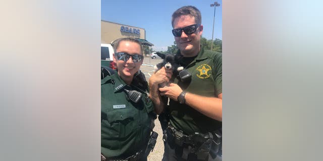The deputy and deputy trainee rescued the puppy from the hot car on Saturday.