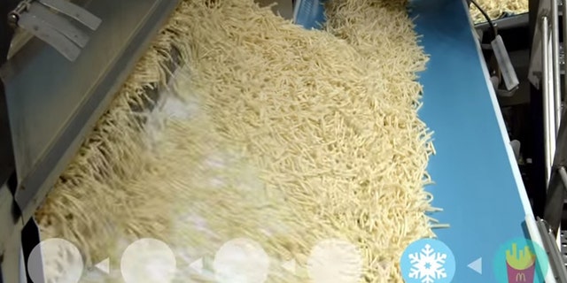 Are McDonald's fries really just potatoes?