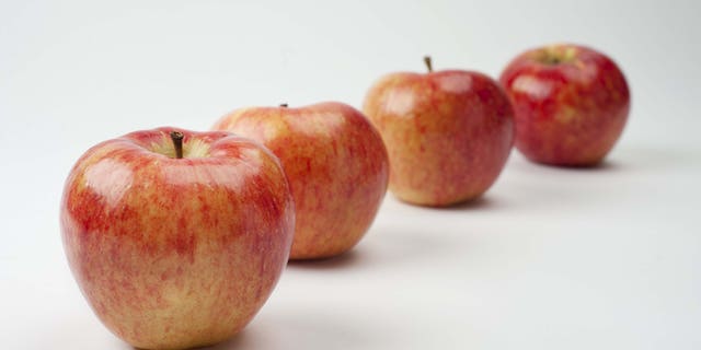 The just-released Riverbelle is one of well over 100 new apple varieties to hit markets around the world in the past six years.
