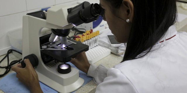 A health technician works on blood samples from patients who could possibly be infected with Zika in Caracas, February 3, 2016. REUTERS/Marco Bello - RTX25CBB