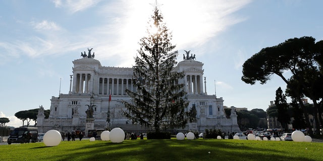 Rome Tree