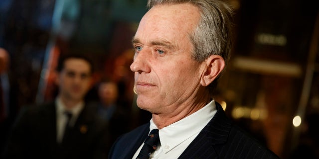 Robert F. Kennedy Jr. in 2017.