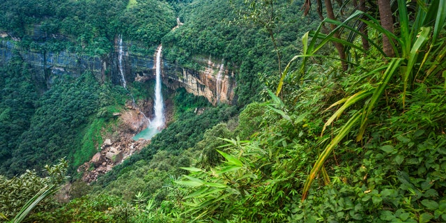 Cherrapunjee, Meghalaya, India: Nohkalikai waterfalls set in high cliffs and thick forests and mountain slope in the Khasi Hills near the small town of Cherrapunjee which is said to be the wettest place on earth. Cherrapunjee is in Meghalaya, north east India. This shot was taken in the early morning.