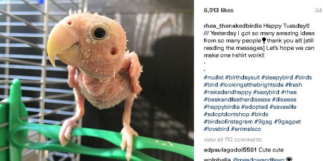 (Instagram/rhea_thenakedbirdie)