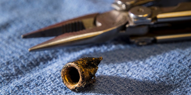The bullet fragment removed from the rhino.