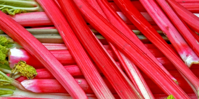 A bunch of fresh organic red rhubarb