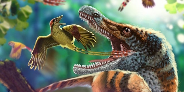 An artist's interpretation of an Enantiornithes escaping the jaws of a toothy predator.