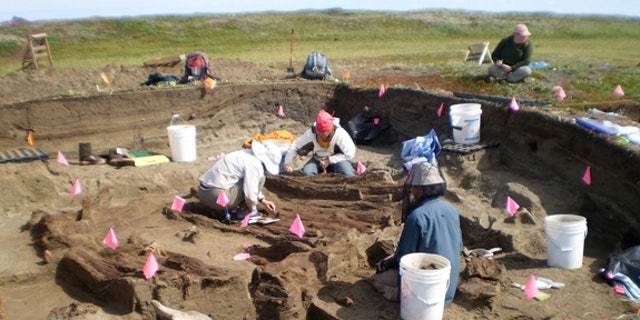 Archaeologists working at the Rising Whale site at Cape Espenberg, Alaska,  have discovered several artifacts that were imported from East Asia.