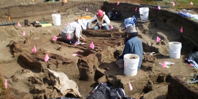 Archaeologists working at the Rising Whale site at Cape Espenberg, Alaska, have discovered several artifacts that were imported from East Asia.