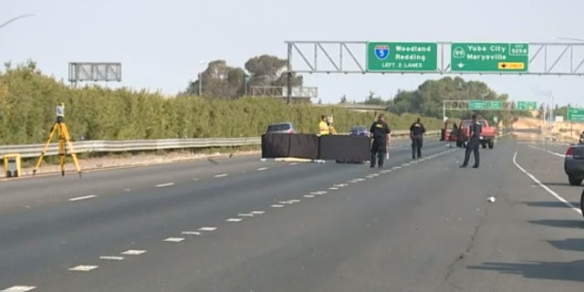 One of the drivers involved in the deadly brawl was struck and killed by a vehicle after killing another motorist on Interstate 5.