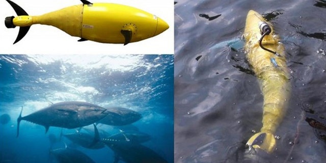 The BIOSwimmer is an underwater robot designed in the shape of a robotic tuna fish for surveillance and patrols.