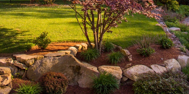 Make sure your trees get some breathing room. Placing rocks too close "can actually kill your tree," warns landscaper Cassy Aoyagi.