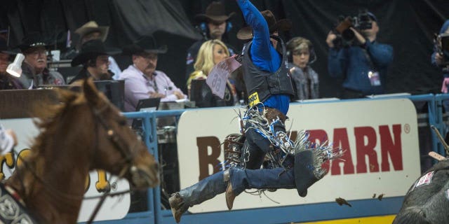 rodeo 1 tom donoghue