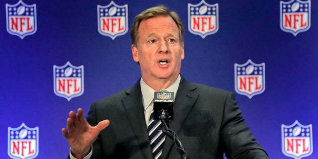 Roger Goodell has been applauded for making the NFL profitable.