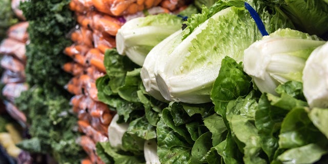 romaine_lettuce