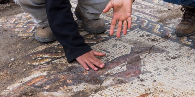 Archaeologists examine the Roman mosaic discovered in the ancient city of Caesarea (Photo: Assaf Peretz, Israel Antiquities Authority)