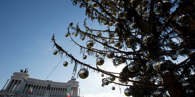 c528515f-rome-tree