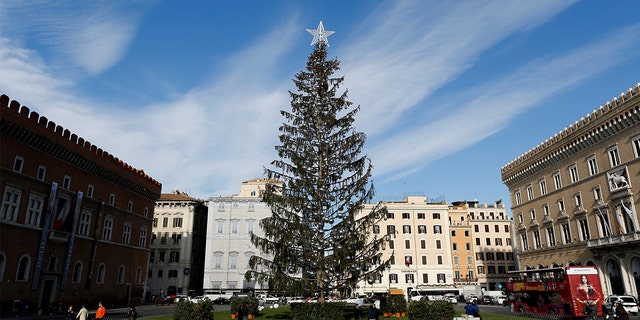 Rome's Christmas tree cost the city over $50,000, but it turns out the tree is dead.