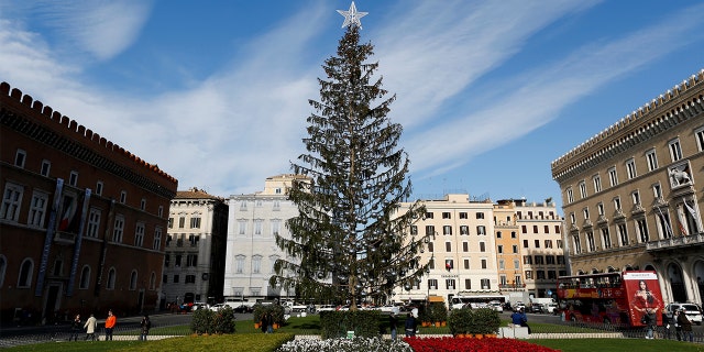 Rome's Christmas tree cost the city over $50,000, but it turns out the tree is dead.